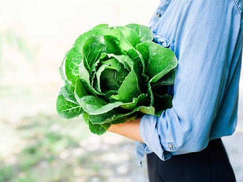 Lettuce Reflect