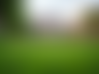 Understanding Environmental Testing in New Jersey Real Estate