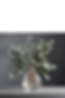Shop categories pics bunches.png