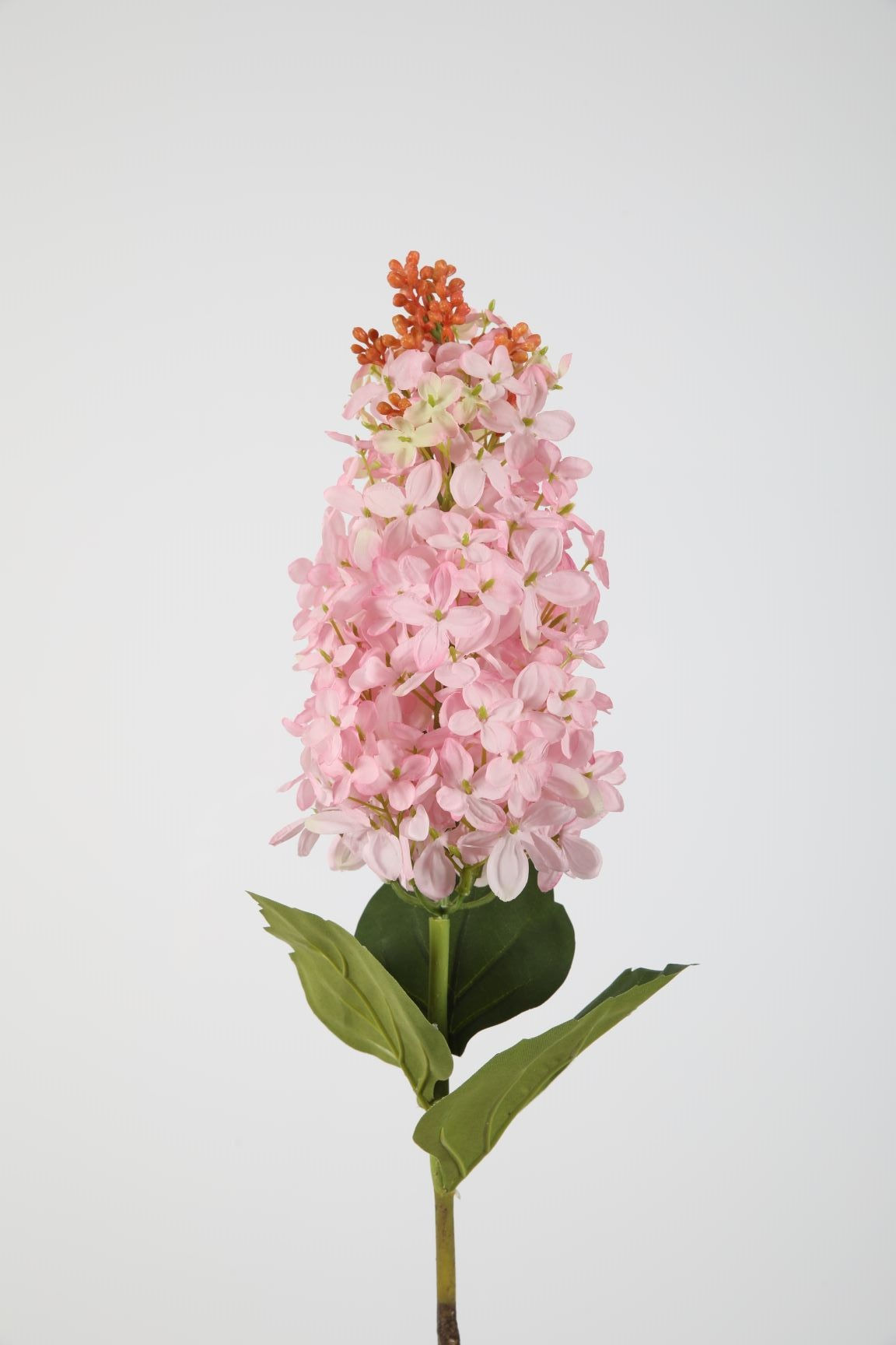 Lilac 70cm