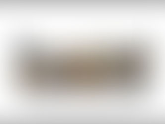 Neuer CityPrint BRAUNSCHWEIG in zwei Versionen