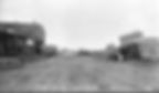 Historic_Downtown_Escondido_Image_Trees - Copy