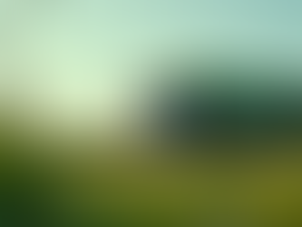 Sustainable Hauling Solutions for Eco-Friendly Junk Removal