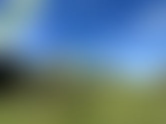 SOUS PROMESSE de VENTE à FAYE LA VINEUSE (37)