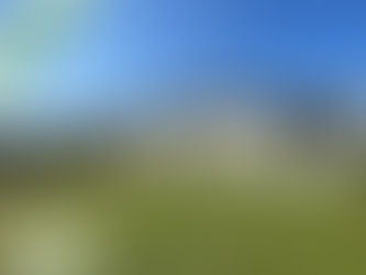 SOUS PROMESSE à FAYE LA VINEUSE (37).