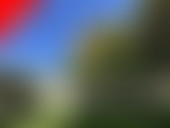 VENDU à LA ROCHE - RIGAULT (86)