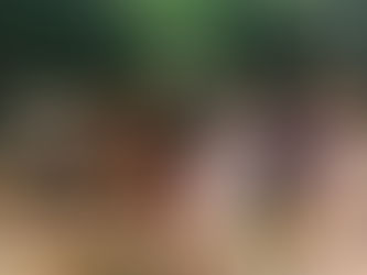 Imaginários de Um Jabutt