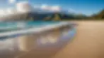 Eye-level view of a tranquil beach in New Zealand, showcasing its natural beauty