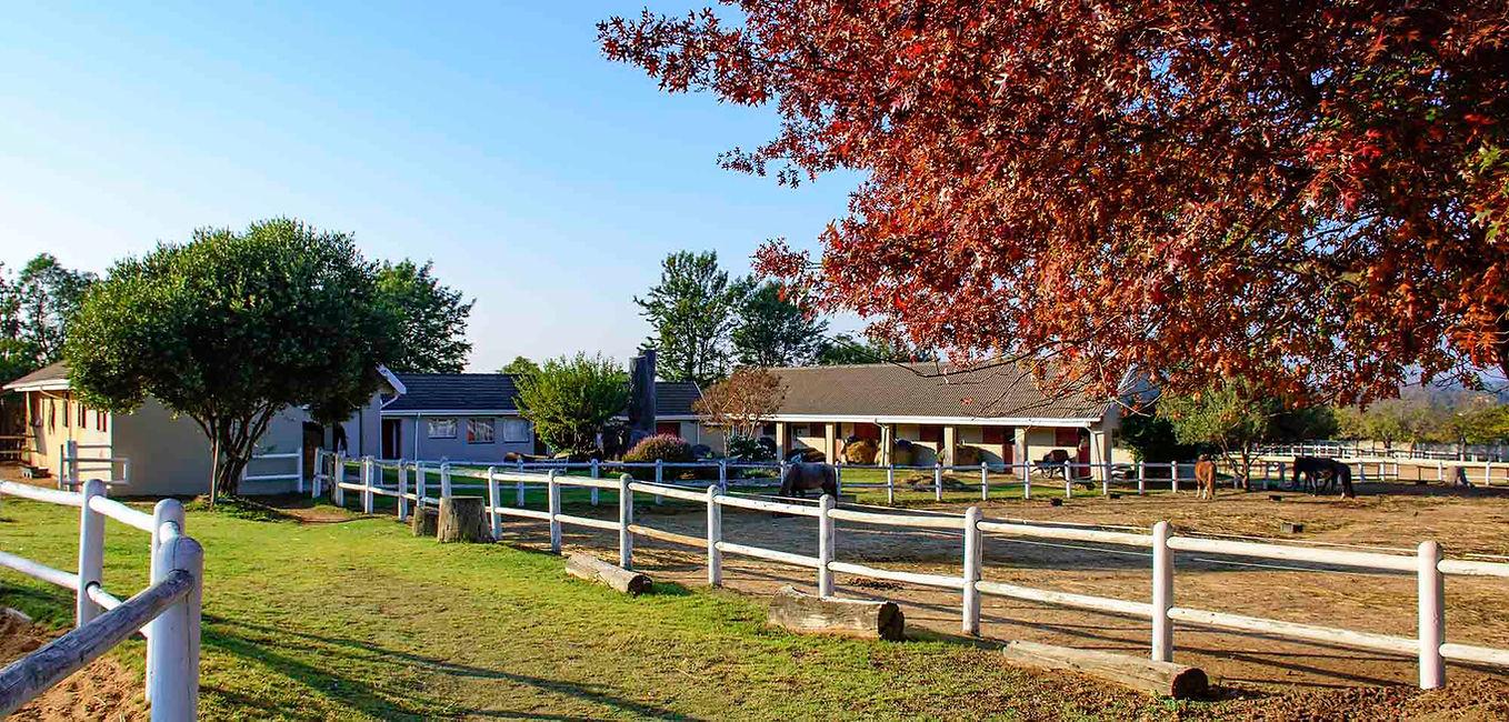 DSC_5605 - 2000x957.jpg