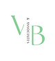 vb  Logo (4).png