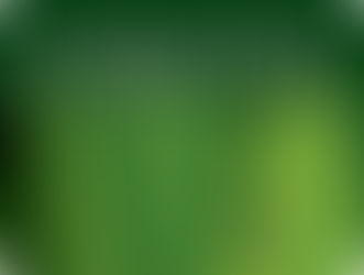 Licenciamento Ambiental