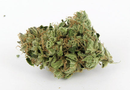 Close-up of a green cannabis bud with frosty trichomes and orange hairs, on a white background. No text or additional elements.