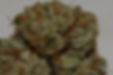 Close-up of green cannabis buds with orange hairs and crystal trichomes, set against a plain background.