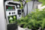Carbon-Dioxide Generators For Growing Marijuana