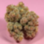All about Grape Octane OG StrainÂ
