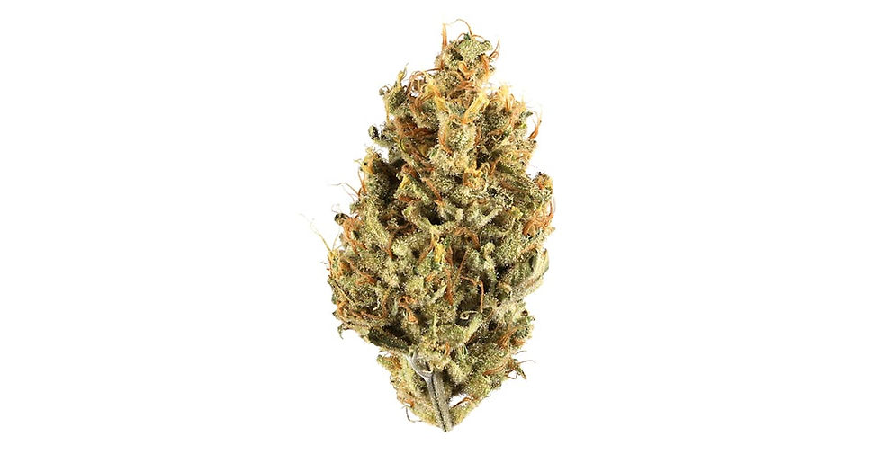 Close-up of a single cannabis bud on a white background. The bud is green with orange hairs and visible trichomes, showcasing detailed textures.