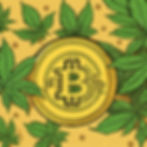 Buying Cannabis Seeds with Bitcoin