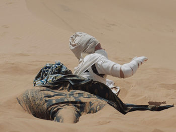 Take A Look At PAIFF's 2026 Feature Films Lineup