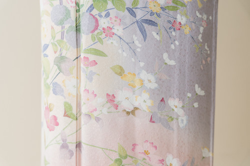 紗　訪問着　染め分け　薄物 紗 訪問着 染め分け 薄物