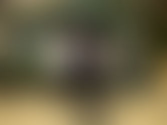 Sky Portal and DecaMap: Pioneering Operational Excellence in Aviation Technology