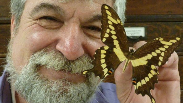 Butterflies in My Backyard Lecture and Q&A