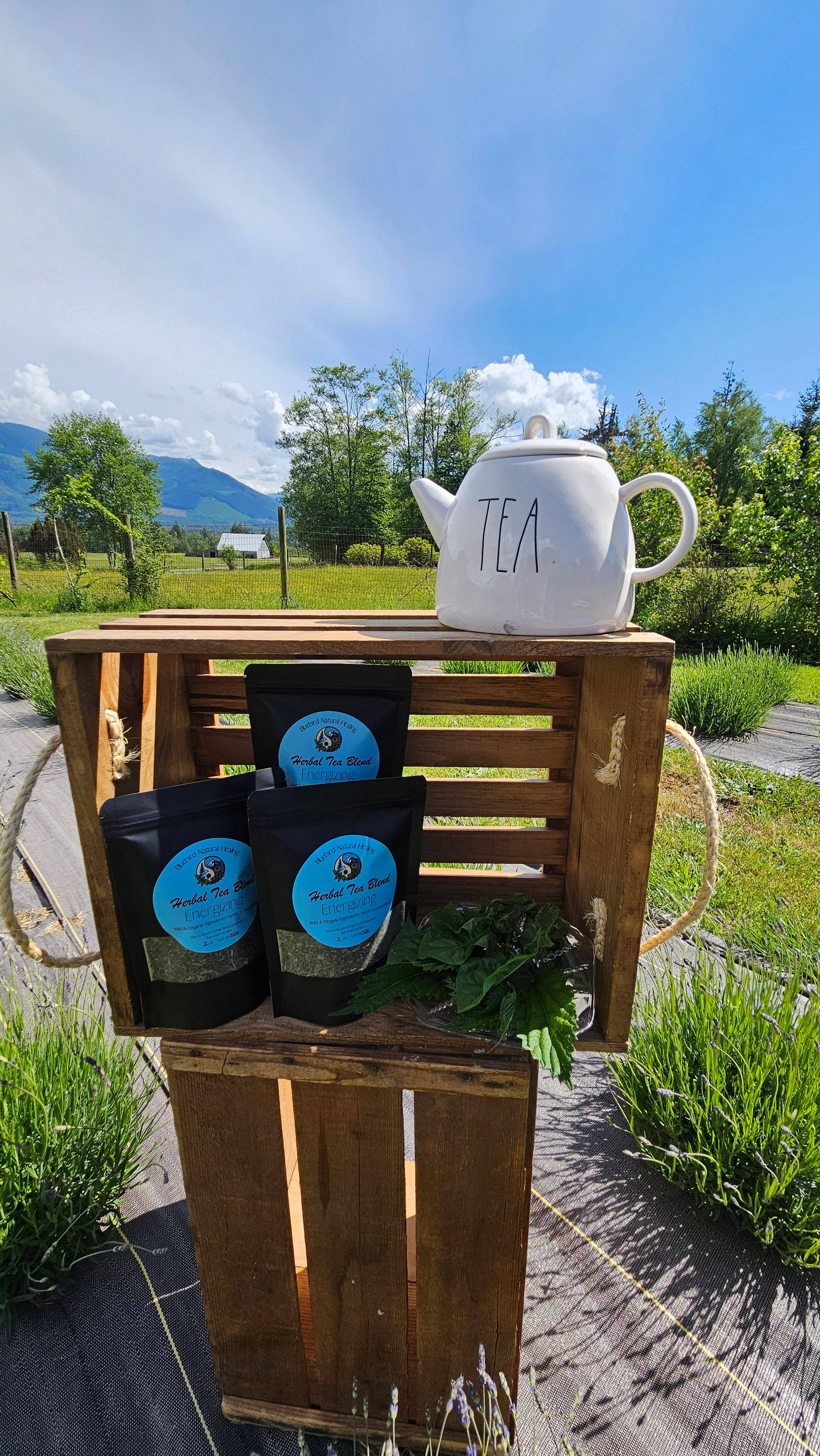 Energizing Herbal Tea Blend 🍵