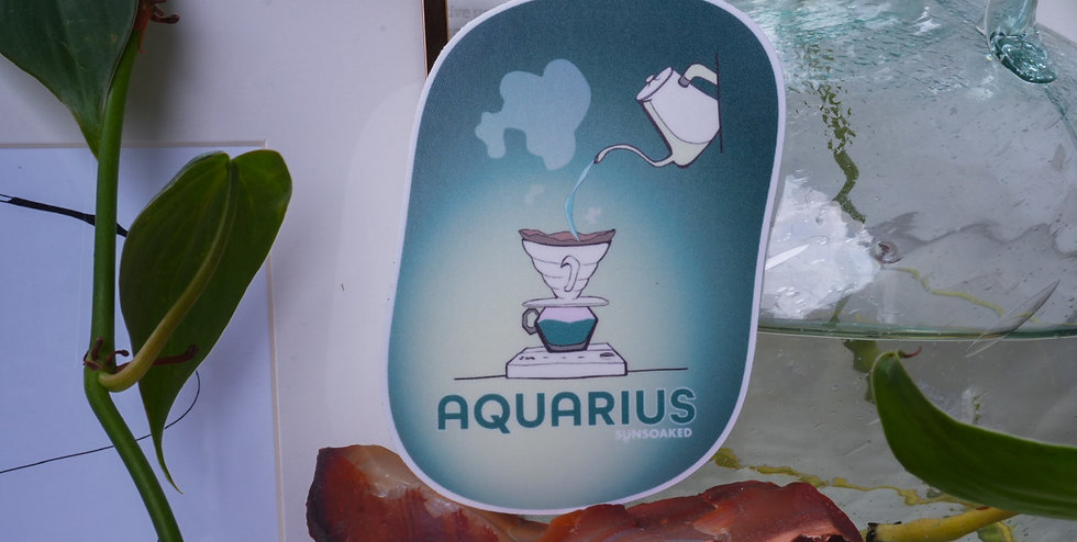 Aquarius Zodiac Sticker