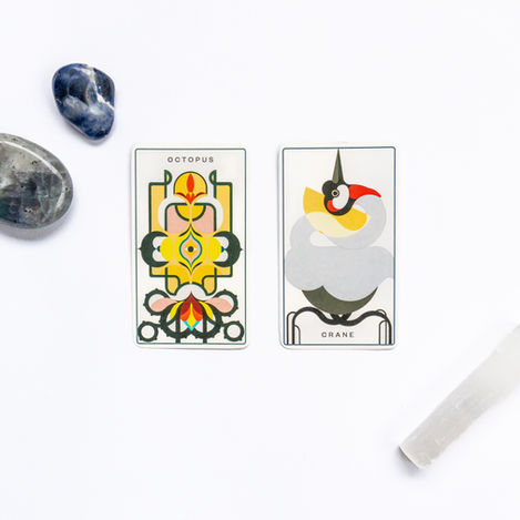 Octopus and Crate Oracle Cards with Labradorite, Sodalite, and Selenite Crystals
