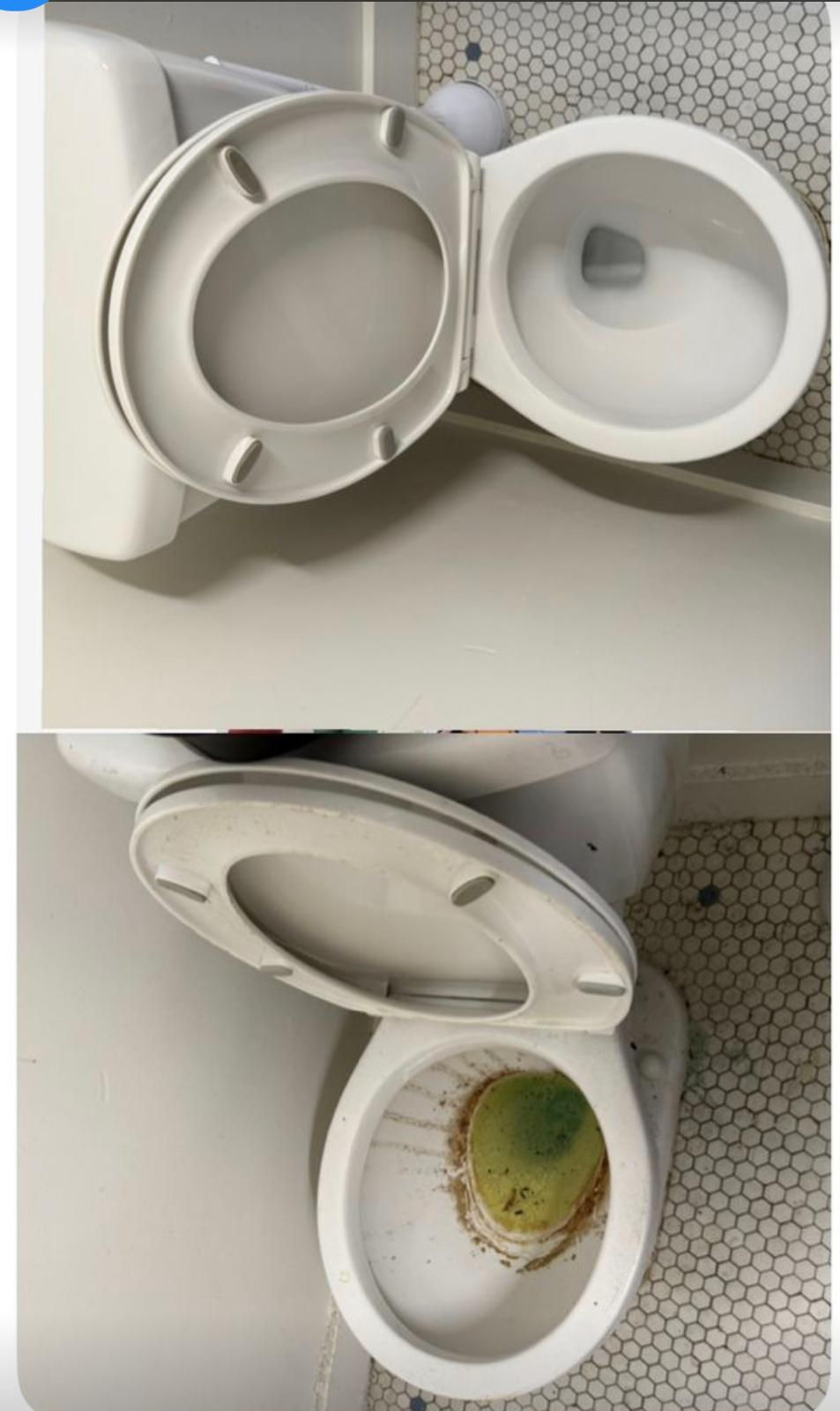 WhatsApp Image 2026-01-14 at 8.44.52 AM