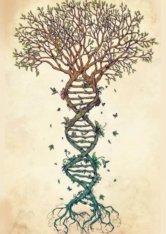 arbre-adn.webp