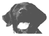 Writer: Wally Dug