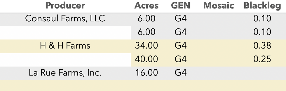 Russet Norkotah PCS 25
