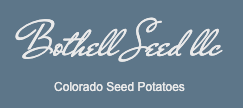 bothellseed-logo.webp