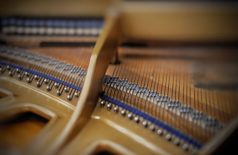 shutterstock_2120654636 (1).jpg