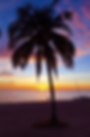 Screen Shot 2017-05-21 at 12.00.37 PM.png