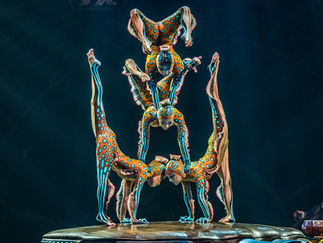 Cirque du soleil