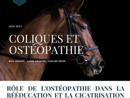 Travail de recherche sur les coliques et l'Ostéopathie