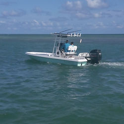 Shearwater boat on the bay