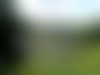 Symbioza zjawiska Życia z transcendencją