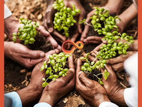 How to Start a Non-Profit and Make a Meaningful Impact