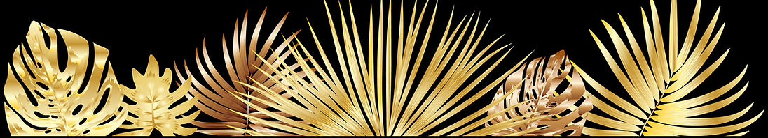 dreamstime_xl_141577327 (1).jpg