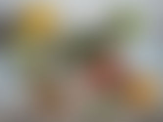 Menú escolar vegano: una opción cada vez más solicitada en colegios de toda España