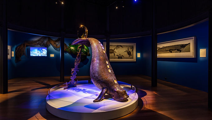 Australian National Maritime Museum 