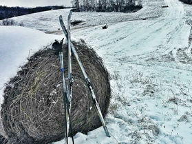 Get Out in the Cold!