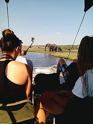 Safari in Chobe with Shockwave Adventures Victoria falls - Trip Advisor top rated with 5 stars