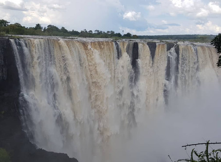 Visit the Victoria Falls, the largest curtain of falling water. Great photographic opportunities...