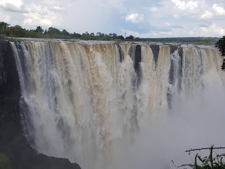 Visit the Victoria Falls, the largest curtain of falling water. Great photographic opportunities...