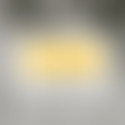 Newark Museum of Art Hosts Dr. Ellis-Williams' Exhibition 