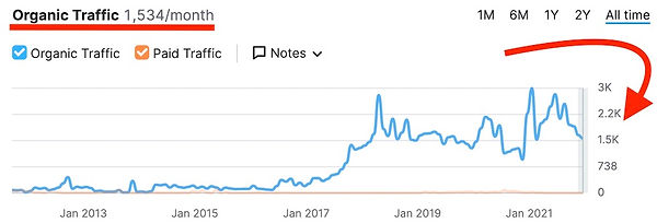 organic website traffic