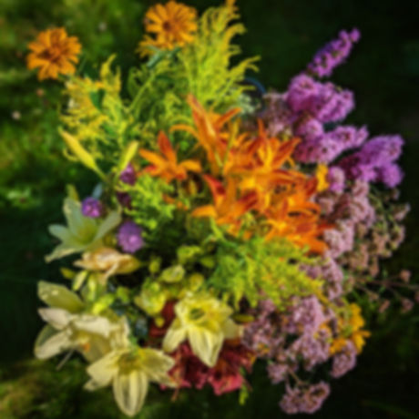 10 week Large Bucket CSA